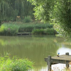 JIJ2018-rcalland-vesoul JIJ2018-rcalland-vesoul